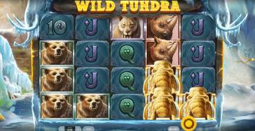 Wild Tundra: Máquina tragaperras