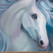 Wild Wild Horses: Caballo blanco