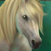 Wild Wild Horses: Caballo blanco
