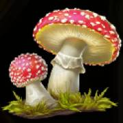 Wild Wild Riches: Agárico de mosca