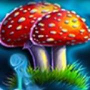Wishing Well: Agaricales de mosca