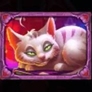 Witch Heart Megaways: Gato