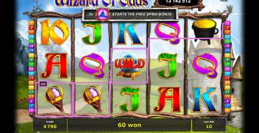 Wizard of Odds: Características