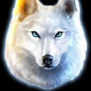 Wolf Call: Lobo