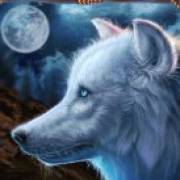 Wolf Canyon: Hold & Win: Lobo blanco
