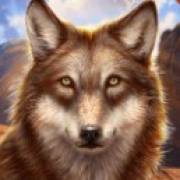 Wolf Canyon: Hold & Win: Lobo gris