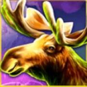 Wolf Fang Winter Storm: Alce