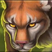 Wolf Legend Spin Boost: Leopardo