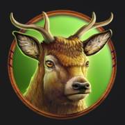 Wolf Strike Hold and Win Extra: Reno
