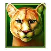 Wolf Thunder: Jaguar