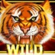 Year of the Tiger: Salvaje