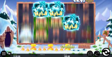 Yeti: Battle of Greenhat Peak: Símbolos especiales