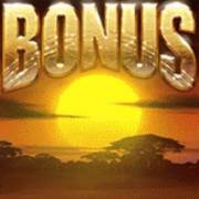 Zulu Gold: Bono