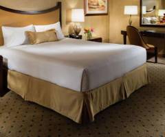 New York-New York Hotel & Casino: Park Premier Rey