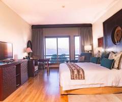 Sea Cliff Casino: Ejecutivo