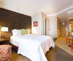 Concorde Casino at Irazu Hotel: Estudio