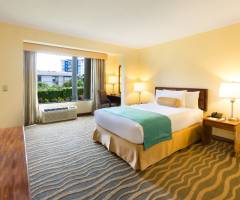 Concorde Casino at Irazu Hotel: Habitación estándar para minusválidos