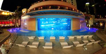 Golden Nugget Hotel & Casino Las Vegas: El Tanque y la piscina HideOut