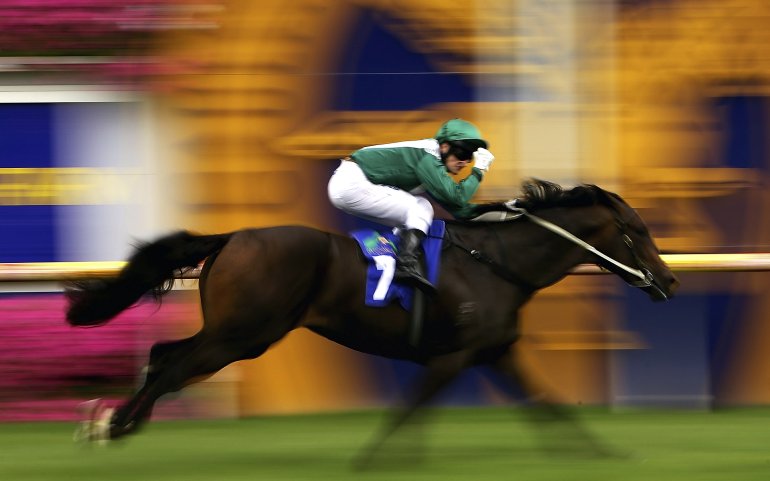 Caballo de carreras y un jinete