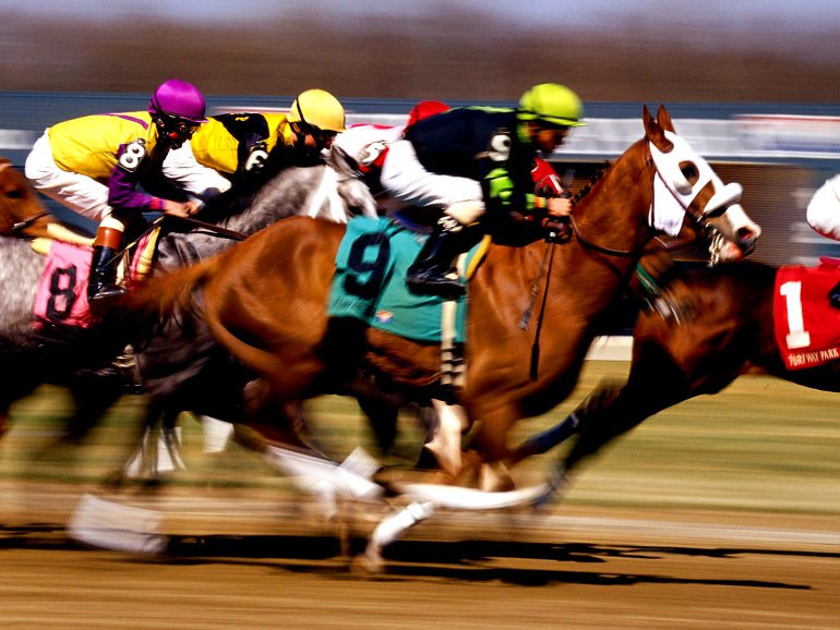 Carreras de caballos. Jinetes número 8 y 9